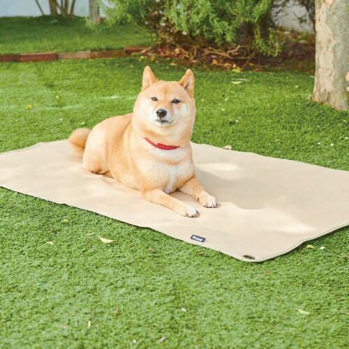 マークタス マルチシート