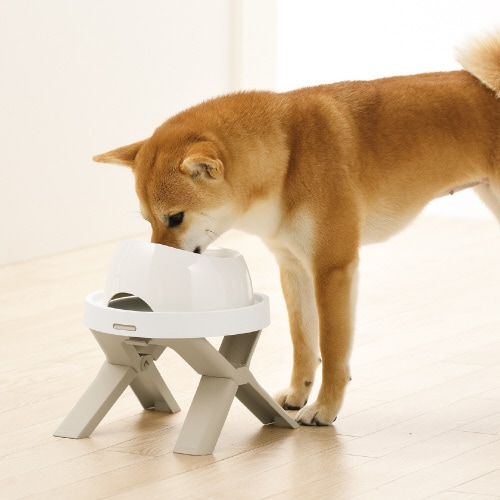 たためるペットテーブル シングル BE