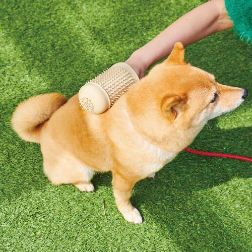 マークタス フットブラシ BE