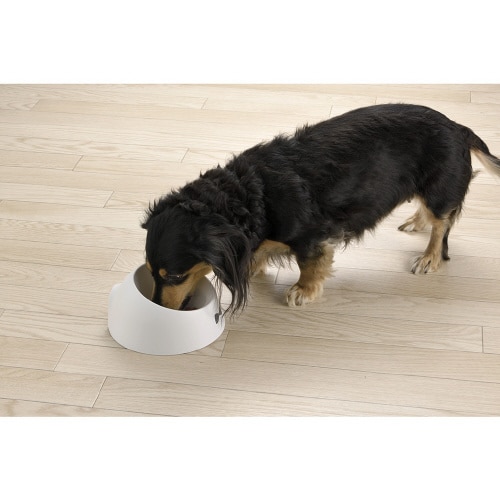 乾きやすい食器浅型W SS