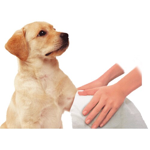 ハッピーペット シャンプータオル 中型・