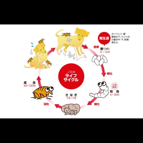 薬用ノミ・マダニとり&蚊よけ首輪 猫用ブ×3