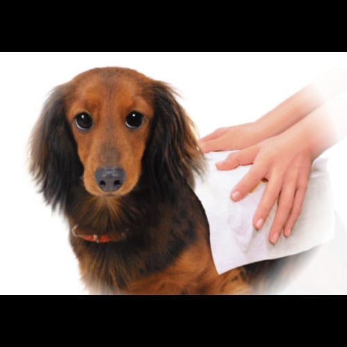 ジョイペット ボディータオルペット用徳用