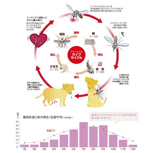 ペット用アースノーマット虫よけ60取替え