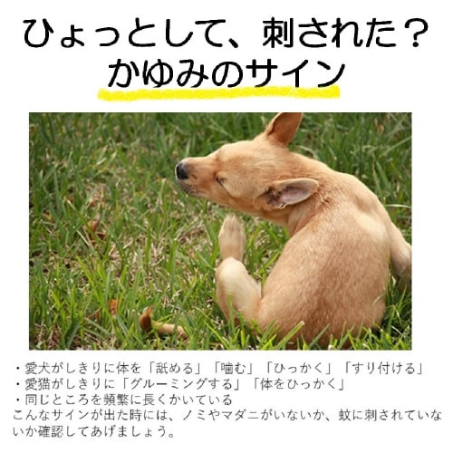 おでかけわんにゃんクリップ140日限定色