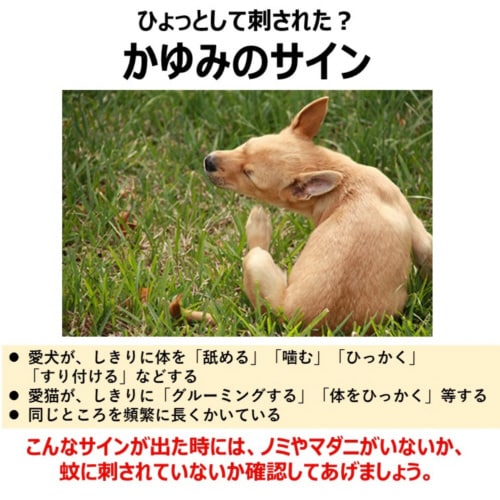 ペット用アース渦巻AC48巻函×3