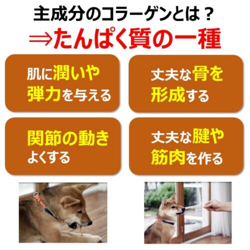 食べられる歯みがきロープ愛犬用コラーゲン