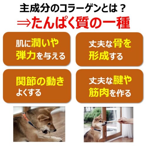 食べられる歯みがきロープ愛犬用コラーゲン
