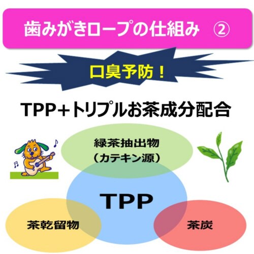 食べられる歯みがきロープ愛犬用かためSS