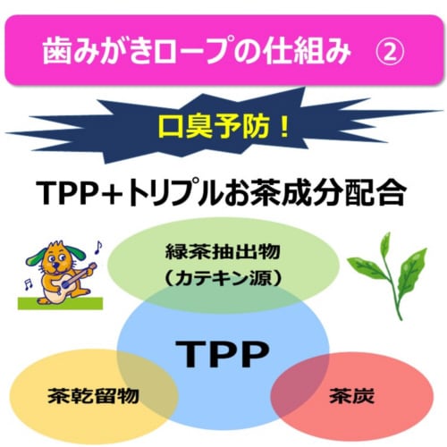 食べられる歯みがきロープ愛犬用かためS