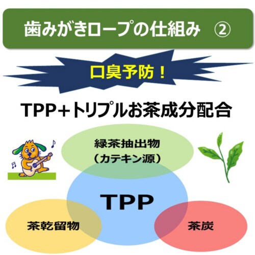 食べられる歯みがきロープ愛犬用やわらかS