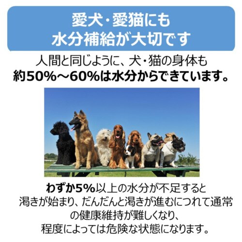 ペットスエット パウダー