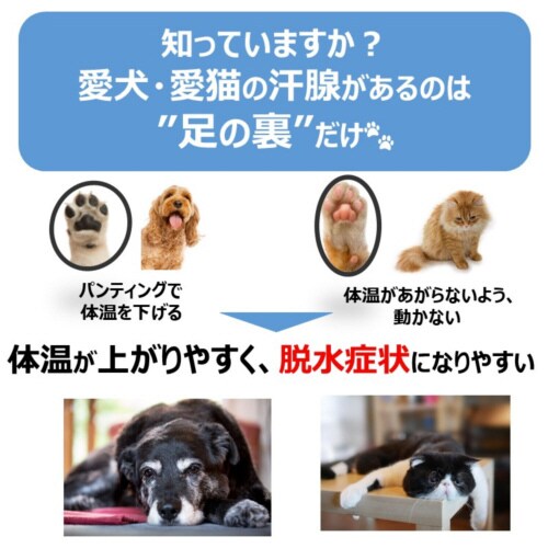 ペットスエット パウダー