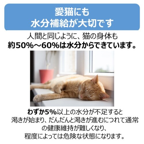 ペットスエットゼリー 愛猫用