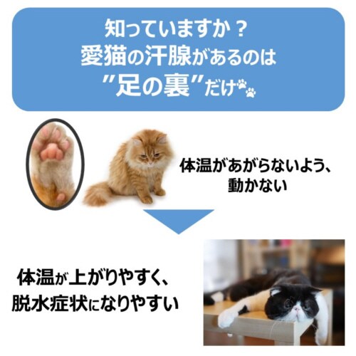 ペットスエットゼリー 愛猫用