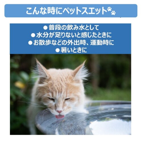 ペットスエットゼリー 愛猫用