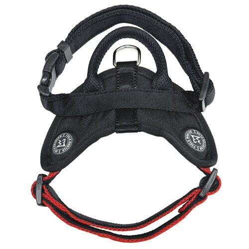 FIELDMASTERヘッドインハーネス