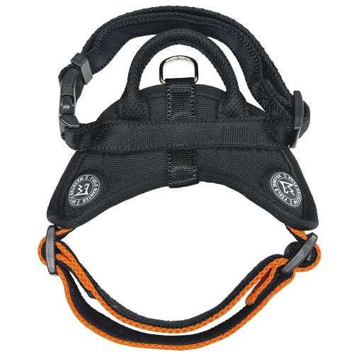 FIELDMASTERヘッドインハーネス