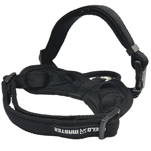 FIELDMASTERヘッドインハーネス