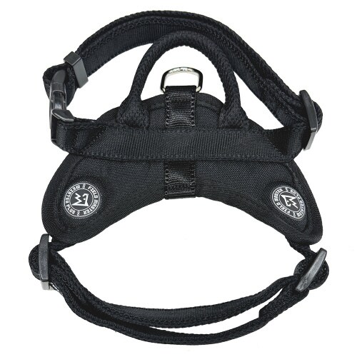 FIELDMASTERヘッドインハーネス