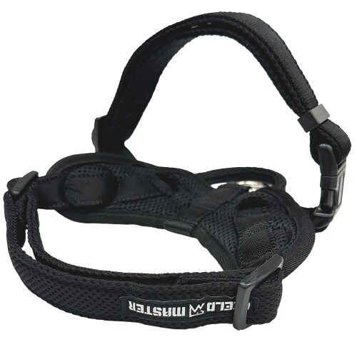 FIELDMASTERヘッドインハーネス