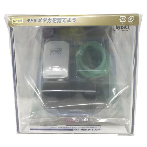 テトラ メダカを育てよう