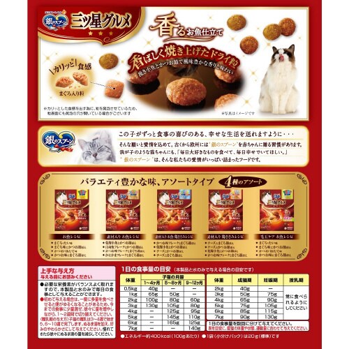 銀のスプーン三ツ星グルメお魚レシピ