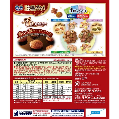 銀のスプーン三ツ星グルメ香るお魚仕立て4