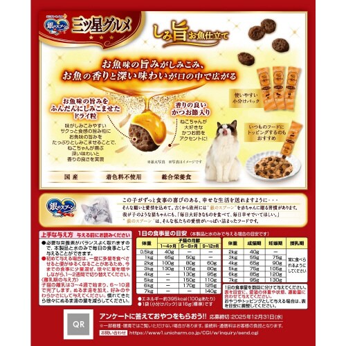 銀のスプーン三ツ星グルメしみ旨お魚仕立て