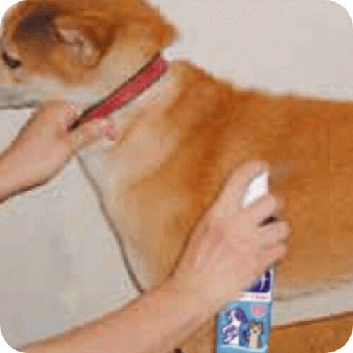 ペットキレイ ケトリーナ ベビーパウダー