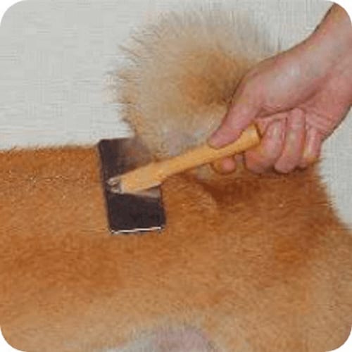 ペットキレイ ケトリーナ ベビーパウダー