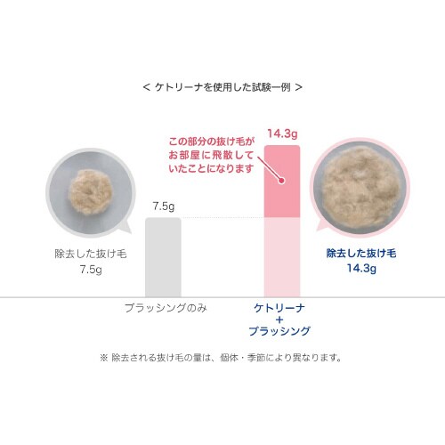 ペットキレイ ケトリーナ ベビーパウダー