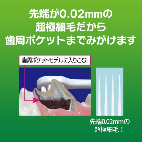 PETKISS デンタルブラシレギュラー