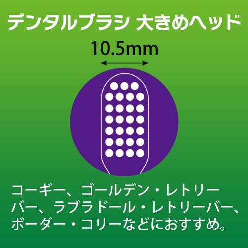 PETKISS デンタルブラシ大きめヘッ×3