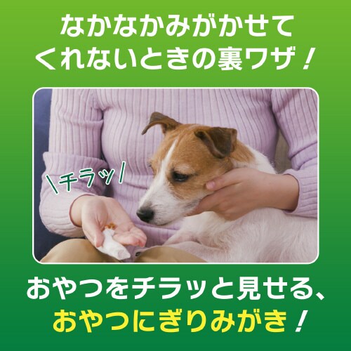 PETKISS 指サック歯みがきシートア×3