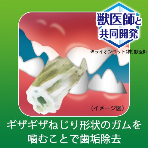 PETKISS 食後の歯みがきガム超小型×36