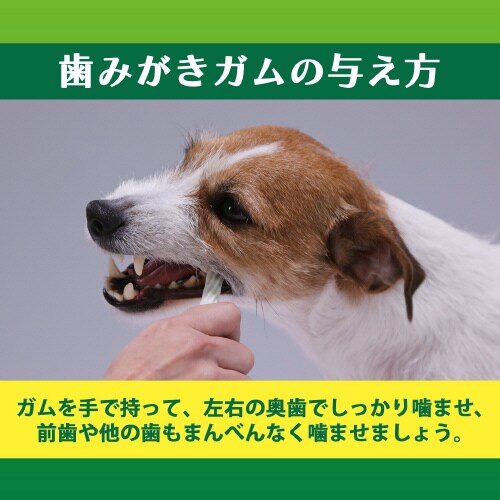 PETKISS 食後の歯みがきガム小型犬