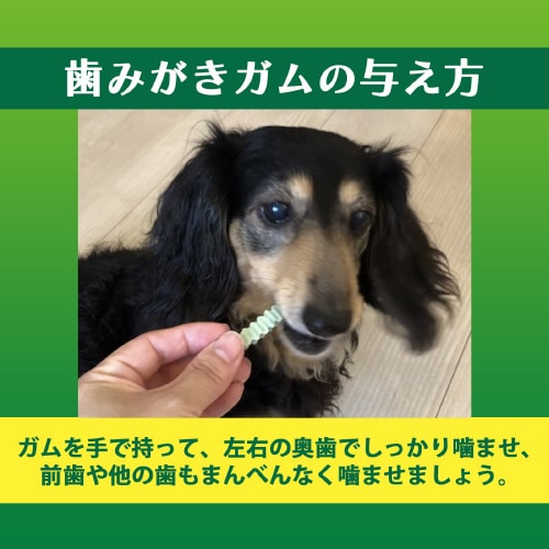 PETKISS 食後の歯みがきガムシニア