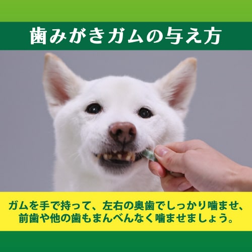 PETKISS 食後の歯みがきガムシニア
