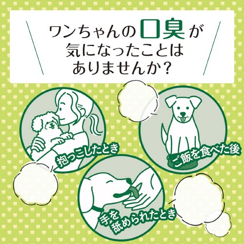 PETKISS ブレスウォーター アップ×3