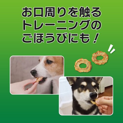 PETKISS ワンちゃんの歯みがきおや