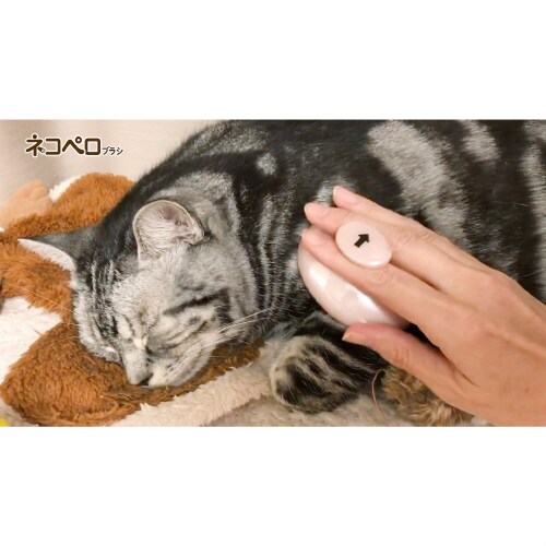 ペットキレイ ごきげんケア ネコペロブラ