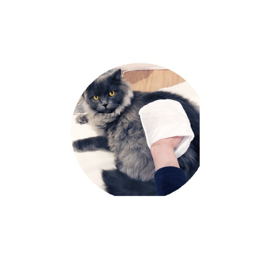 ペットキレイ ミトンでらくらくシャンプー×3