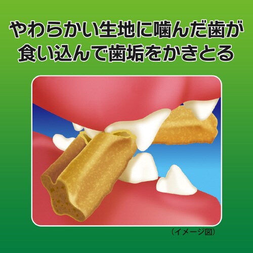 PETKISS ワンちゃんの歯みがきおや×48