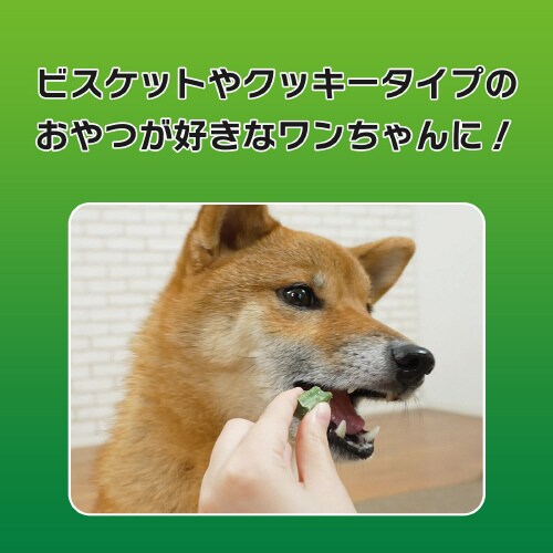 PETKISS ワンちゃんの歯みがきおや×48