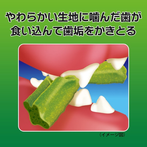 PETKISS ワンちゃんの歯みがきおや×48