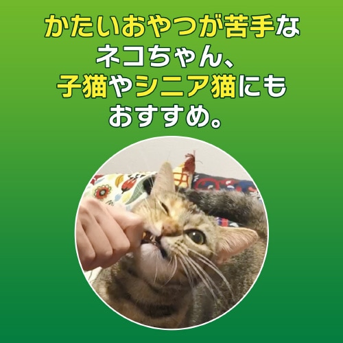 PETKISS ネコちゃんの歯みがきおや