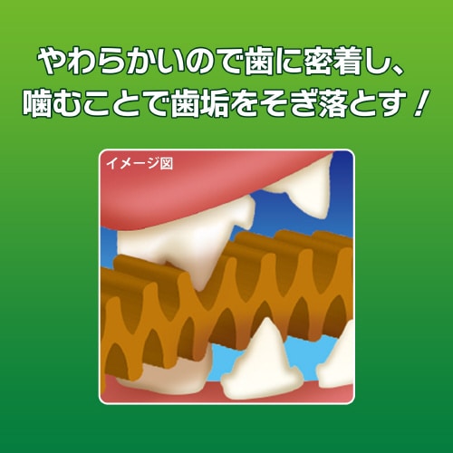 PETKISS ネコちゃんの歯みがきおや