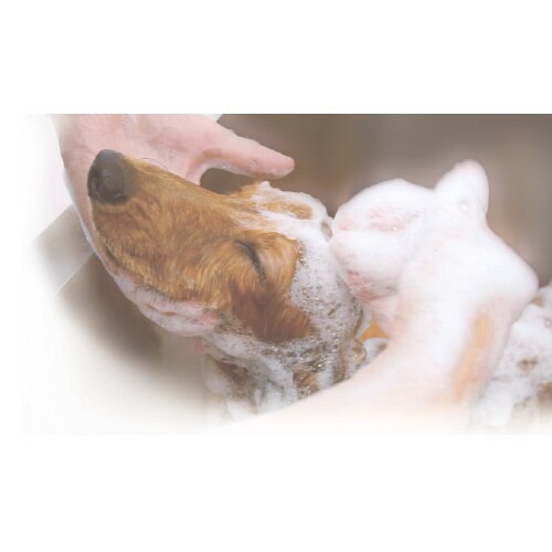 ペットキレイ 泡リンスインシャンプー 犬