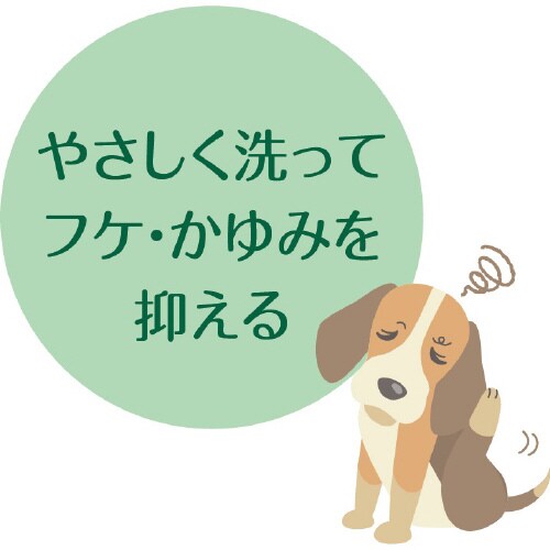 ペットキレイ 泡リンスインシャンプー 犬×3